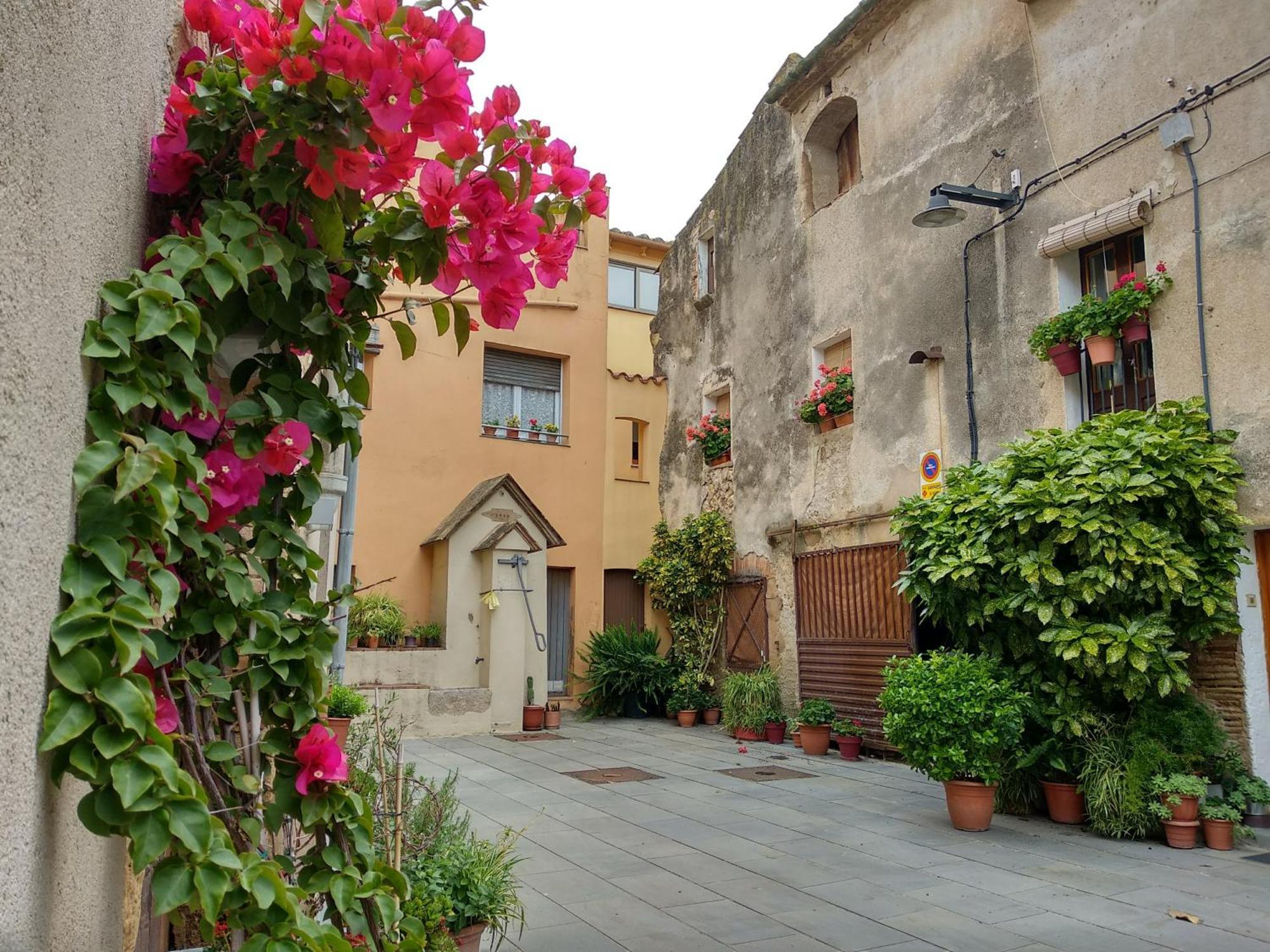 Can Girmas Casa De Turisme Rural นาวาตา ภายนอก รูปภาพ