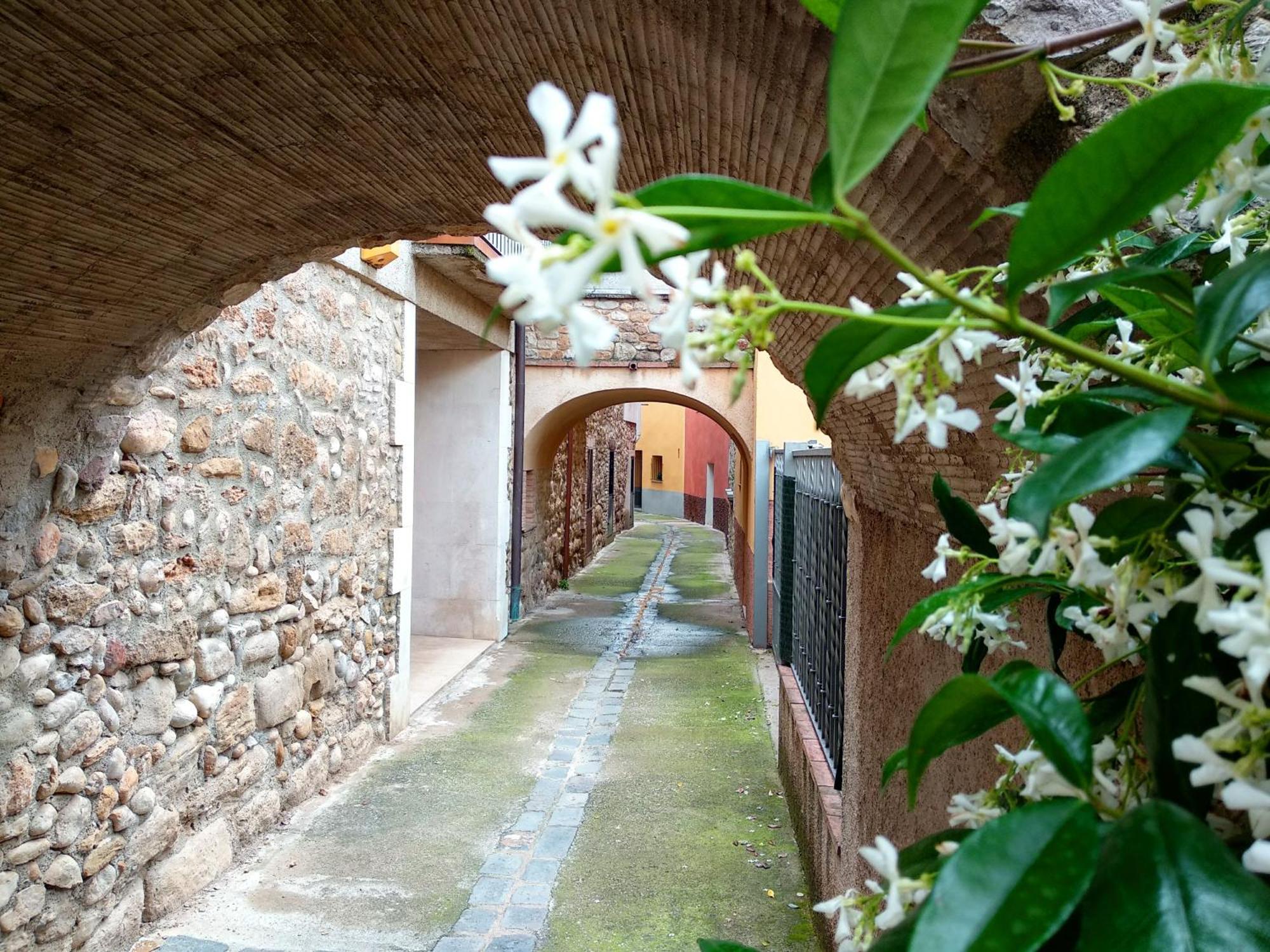 Can Girmas Casa De Turisme Rural นาวาตา ภายนอก รูปภาพ